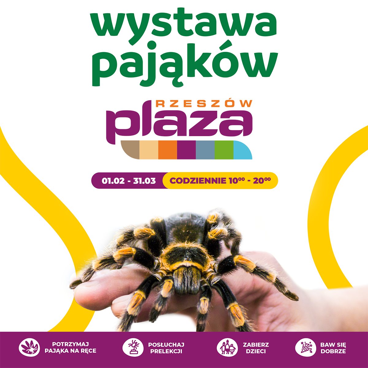 plaza Rzeszów